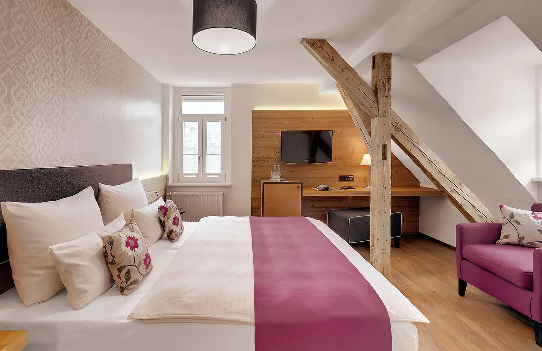 Alpen Hotel München-1